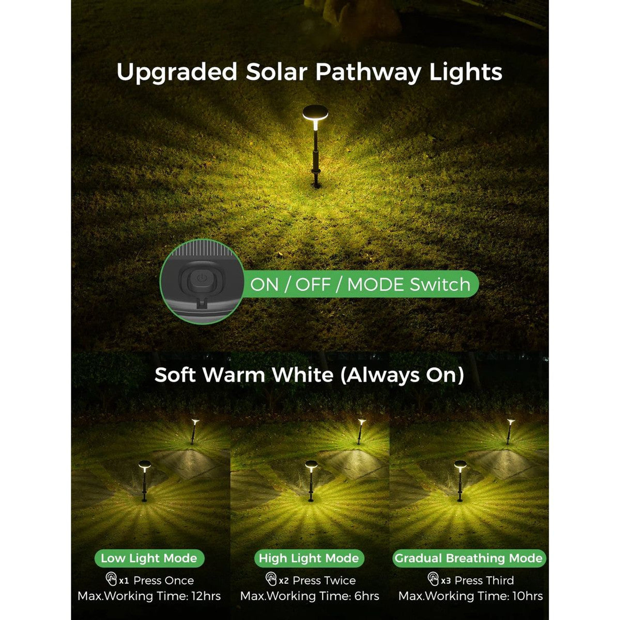 Warm White Solar Pathway Lights with 3 Light Modes (4-Pack)
