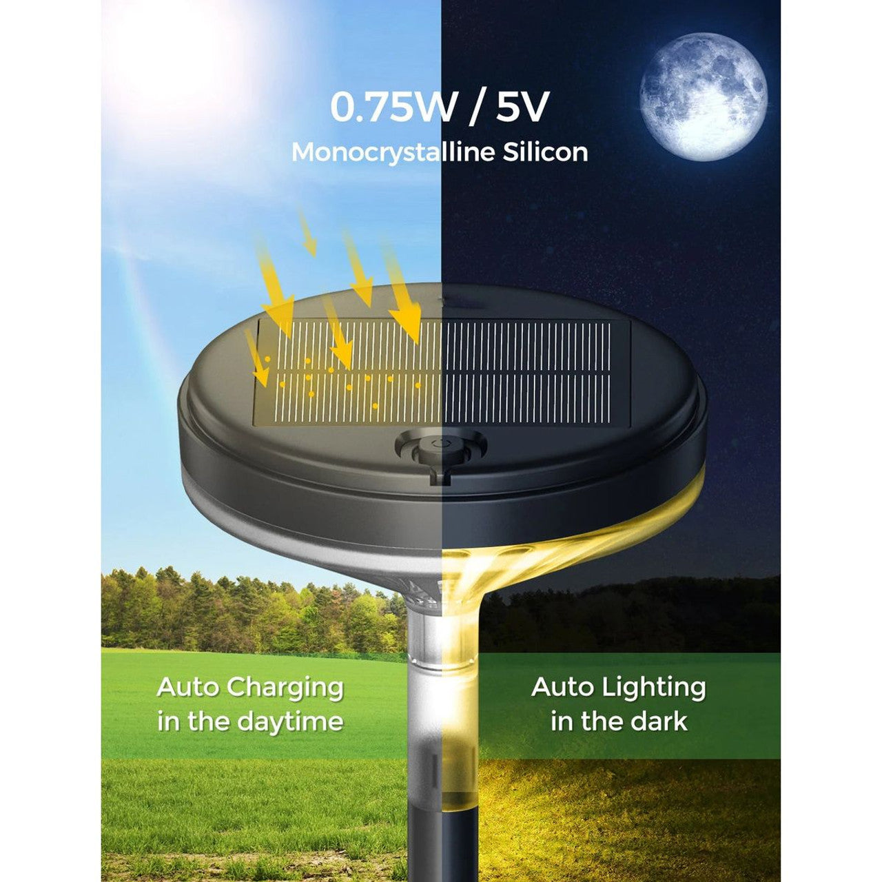 Warm White Solar Pathway Lights with 3 Light Modes (4-Pack)