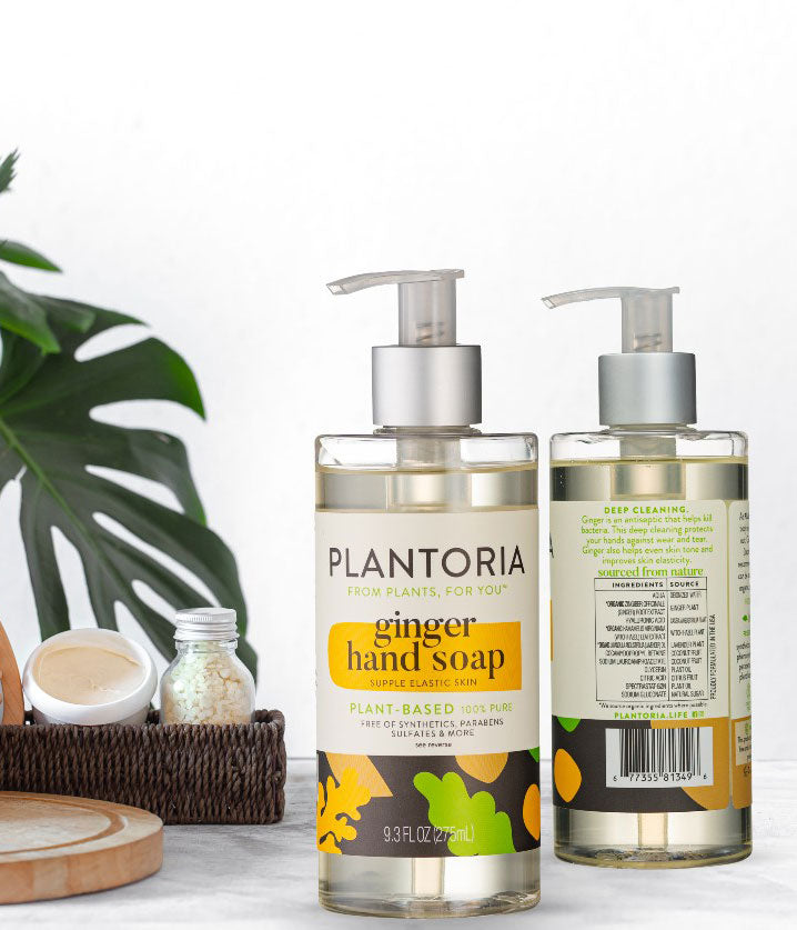 plant soap for indoor plants Natural Ginger Hand Soap 100% Pure – Plantoria Pure Inc